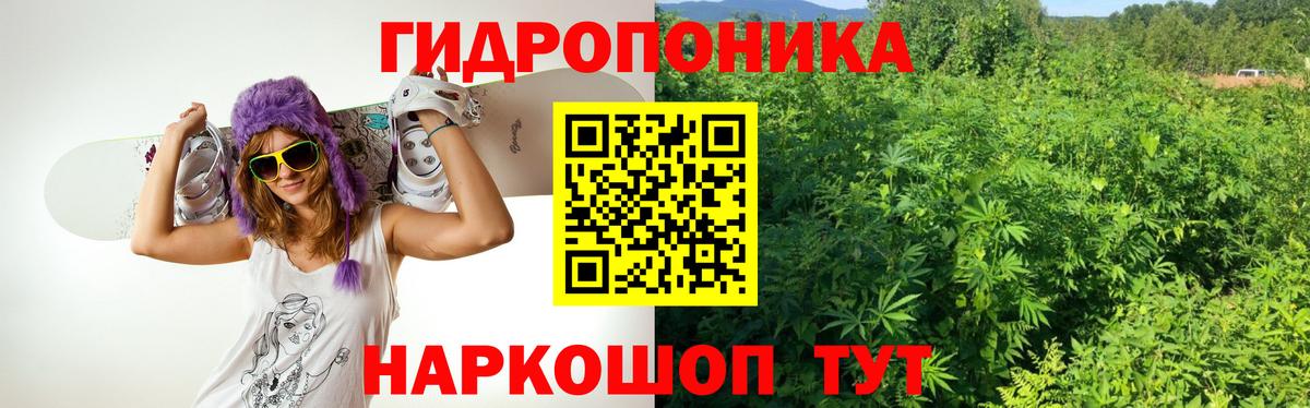 Канабис гибрид  Шишки марихуана SATIVA & INDICA  Конопля ГИДРОПОН  Канабис AK-47  Мытищи  Вход с VPN 